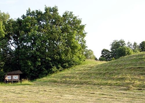Reste eines alten Burgwalles: ein sich markant erhebender Erdwall, umgeben von Bäumen, vor einer Infotafel steht ein Besucher