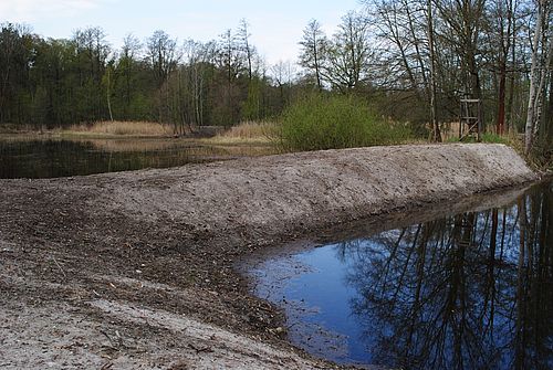 Ein frisch bearbeiteter Damm teilt zwei Wasserflächen.