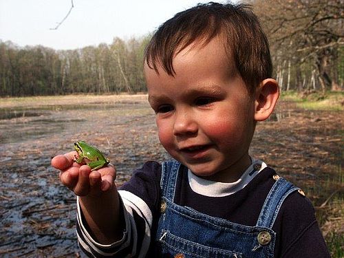 Kind mit Laubfrosch auf der Hand