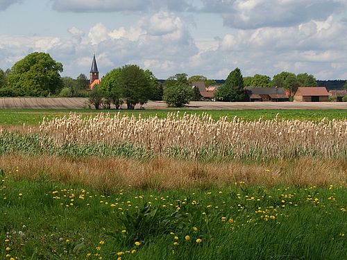 Blick über Wiesen zu einem Dorf. Zwischen Bäumen lugen einzelne Gebäude hervor. Ein Kirchturm reckt sich gegen den Himmel.