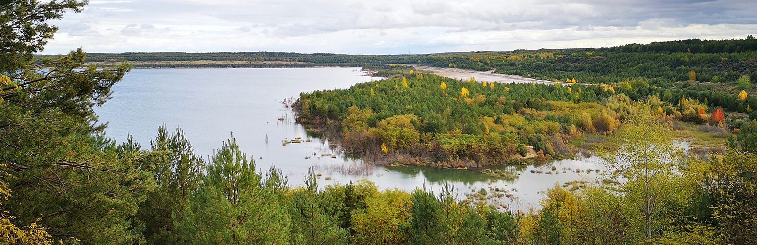 Altdöberner See © Claudia Donat Blick auf einen See, der von Wald umgeben ist. Eine von dunkelgrünen und gelb gefärbtem Bäumen bedeckte Halbinsel ragt in die Wasserfläche.