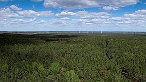 Blick über eine Waldlandschaft unter einem blauen Himml mit Wattewölkchen. Aus dem Meer grüner Baumkronen ragt am Rand ein Schornstein.