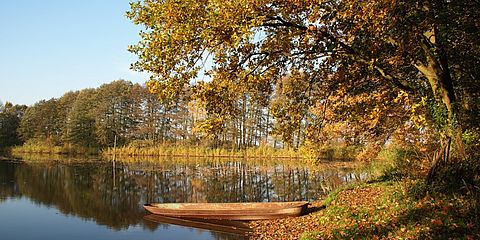 ein von herbstlich gefärbten Bäumen gesäumter Teich, im Vordergrund ein Futterkahn