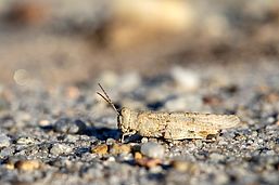 Foto: Ralf Donat